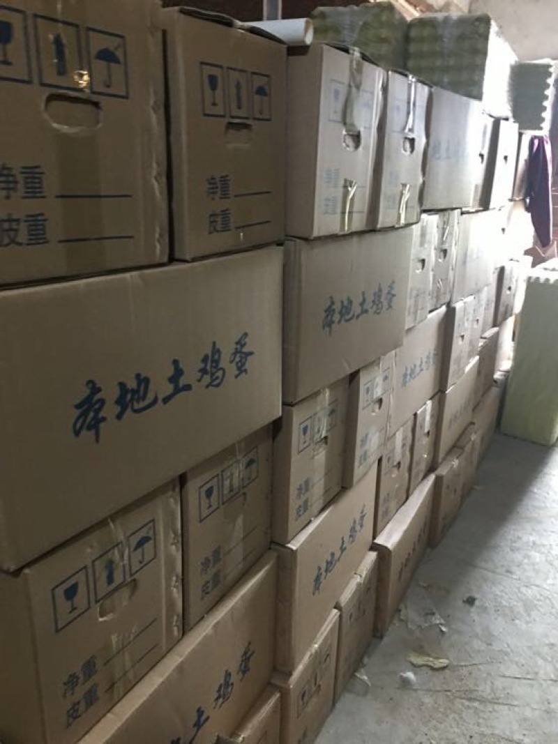普通鸡蛋