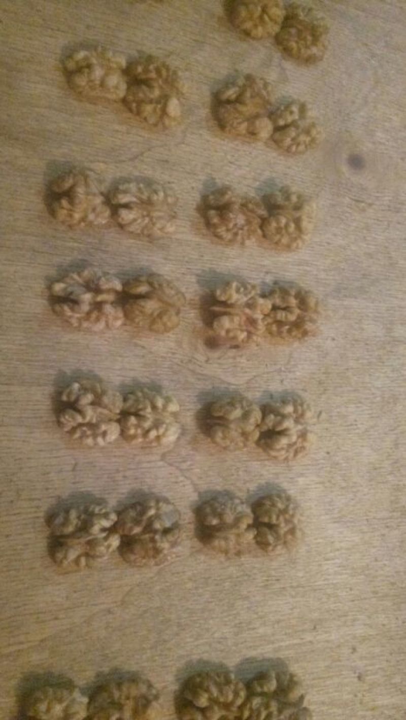 甘肃陇南老树核桃仁原味丨