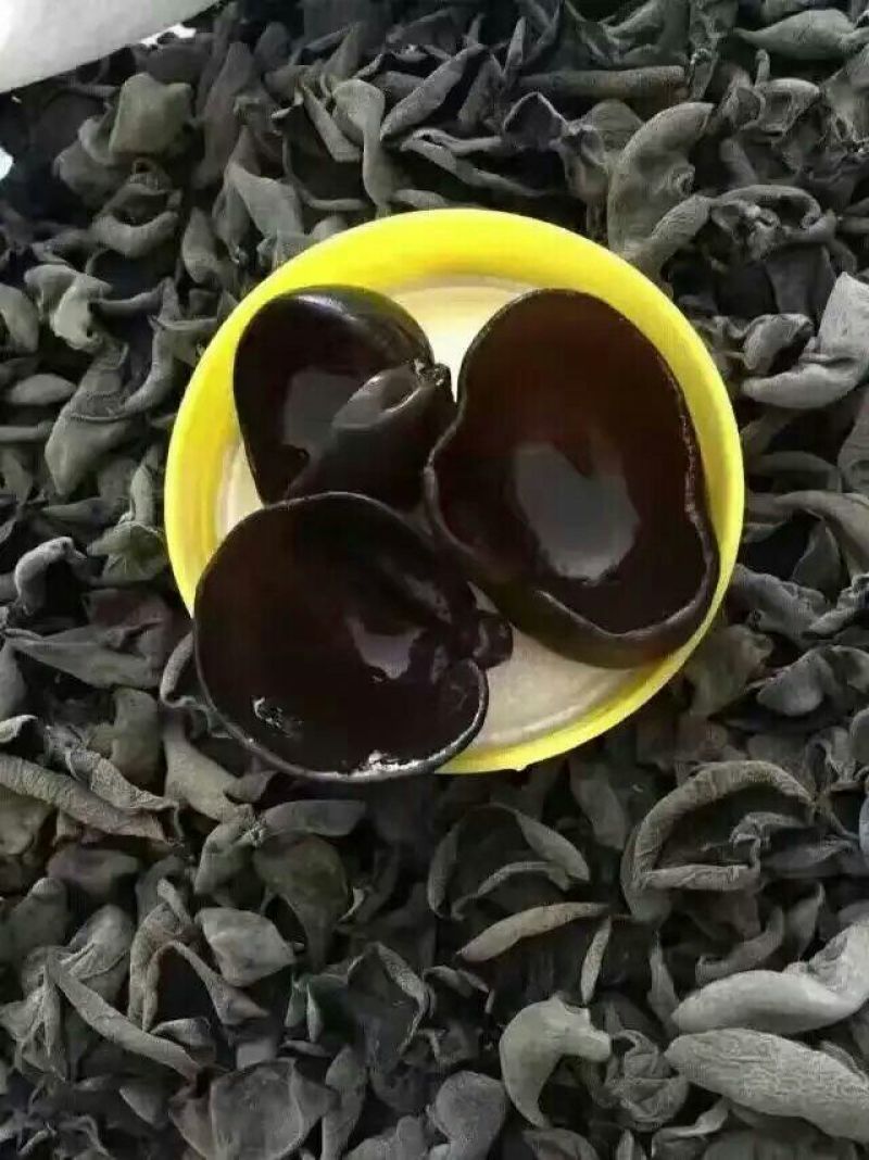 干木耳一级