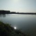 黄沙鳖2.5~3斤