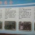 油橄榄