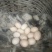 土鸡蛋食用50~60g