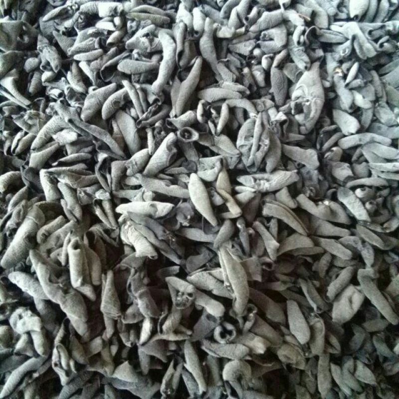 干木耳一级