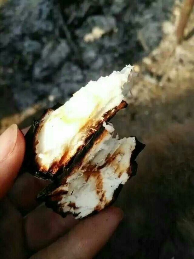 铁棍山药1~2厘米30~35厘米
