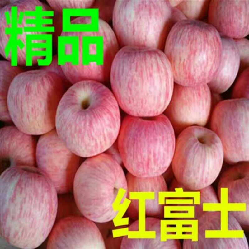 山东红富士苹果产地直销，货源充足，质量保证。