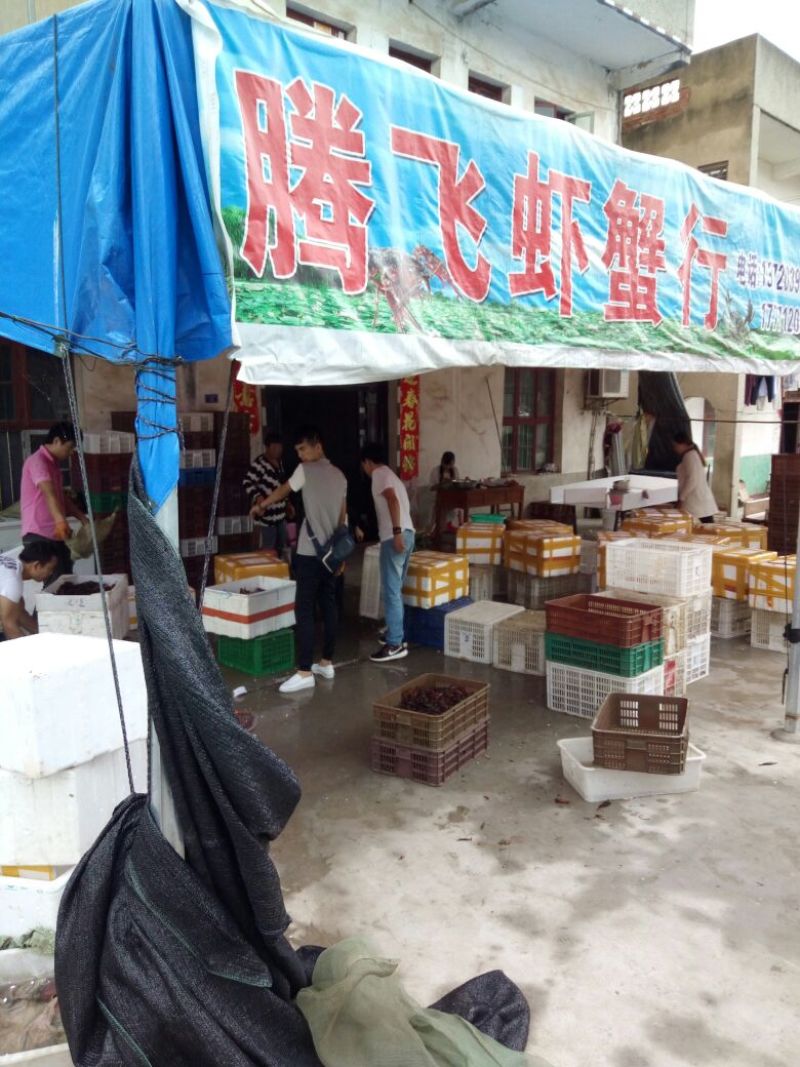 罗氏沼虾食用8~10钱活虾