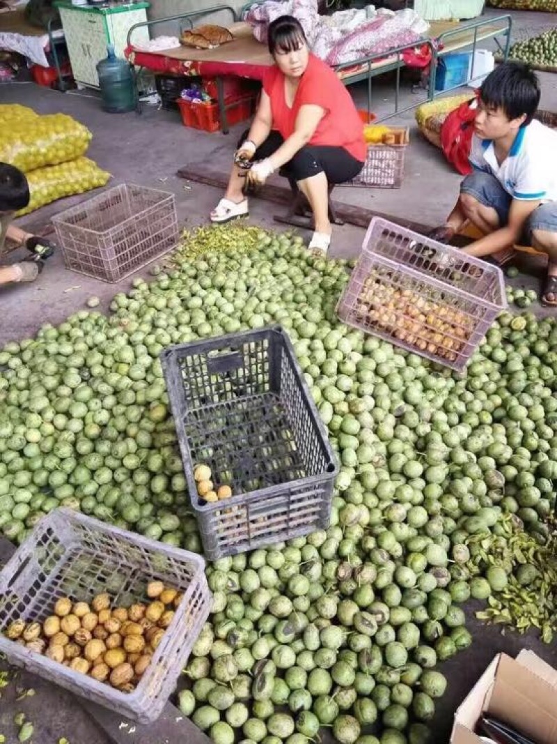 脱皮核桃