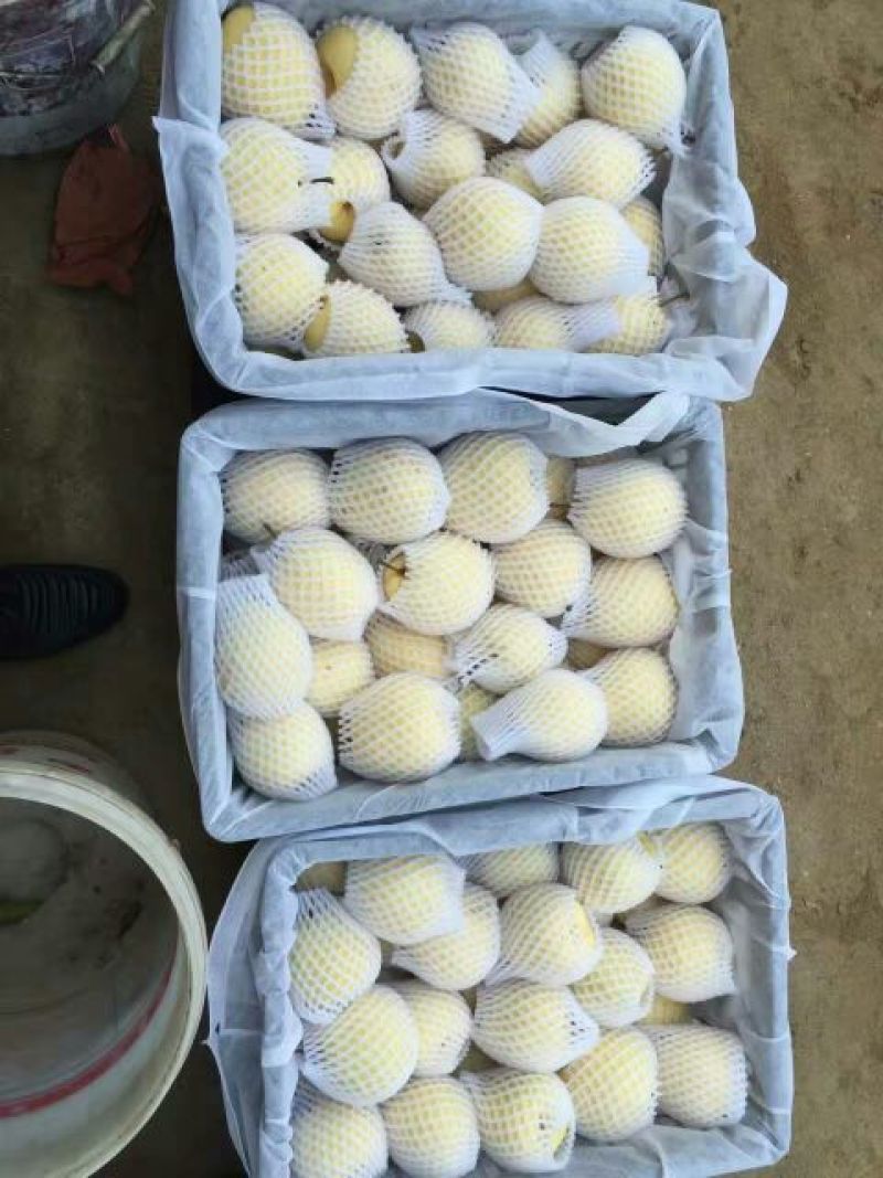 贡梨纸袋200~250g