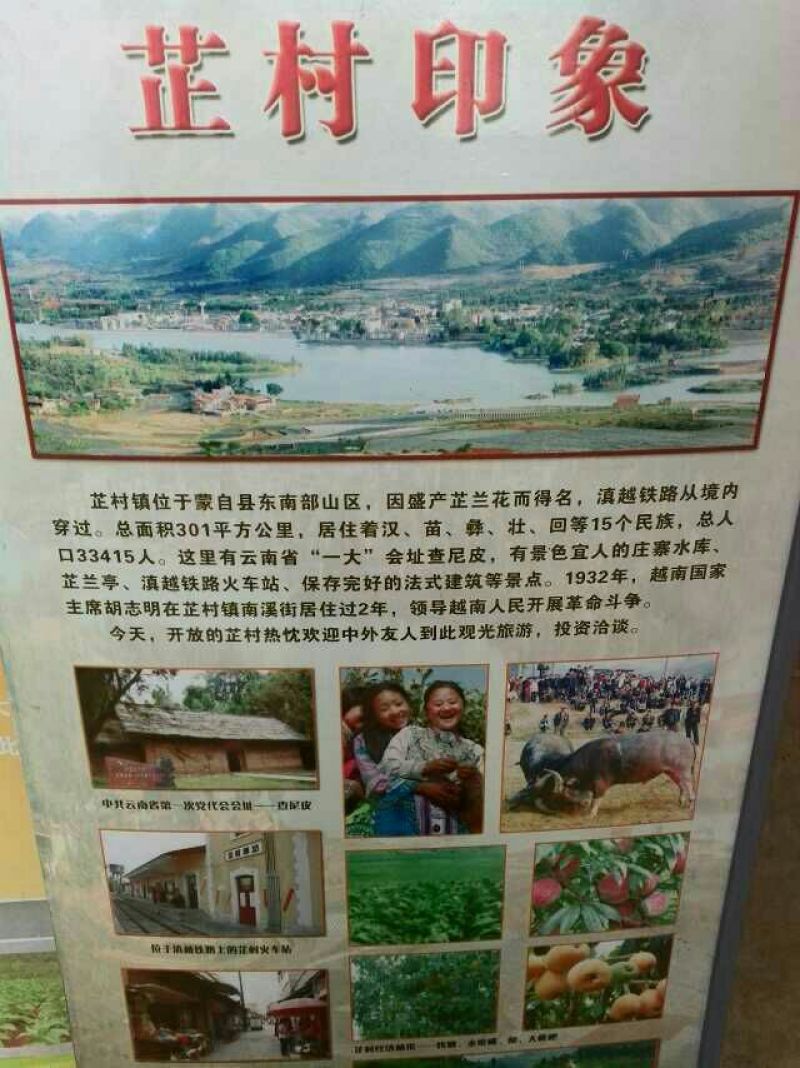 枇杷0.4两以上