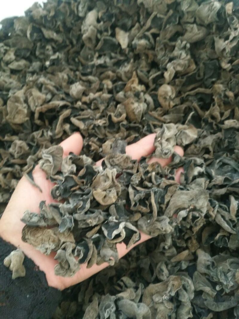 干木耳一级