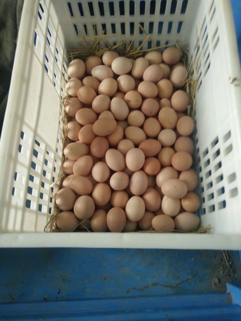 土鸡蛋食用50g以下