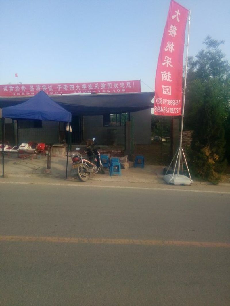 精品美早樱桃一件五斤，货源充足，量大从优欢迎咨询。