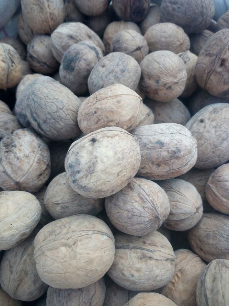 薄皮核桃30mm以上去皮干