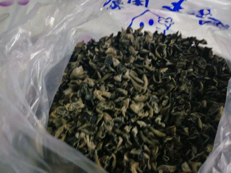 黑木耳一级