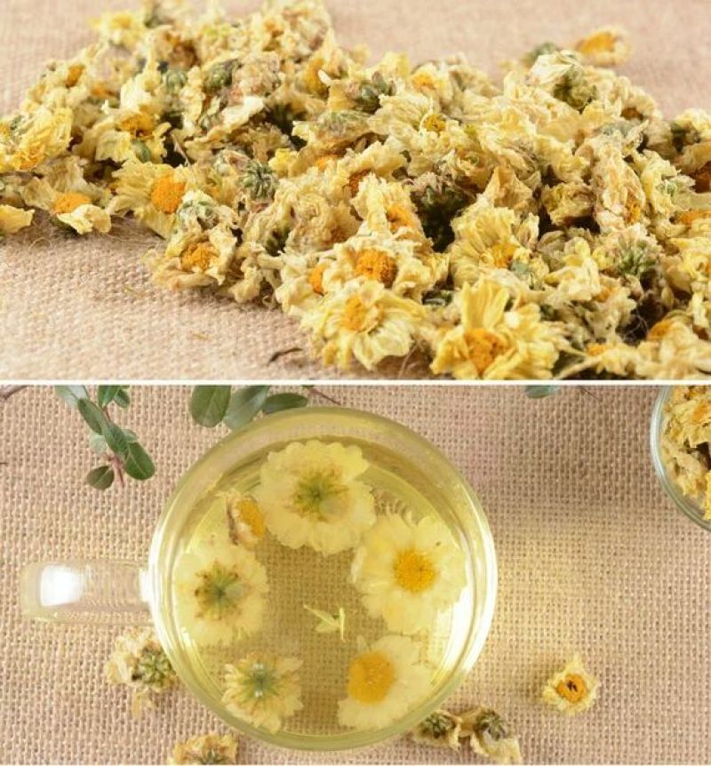 白菊花茶