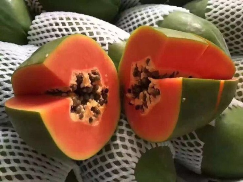 青木瓜
