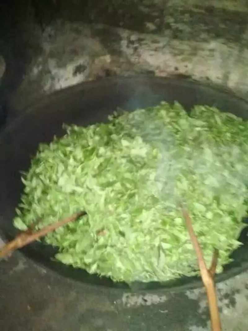 普洱绿茶