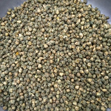 白菊花茶