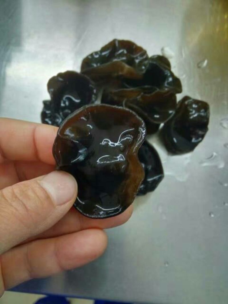 黑木耳一级