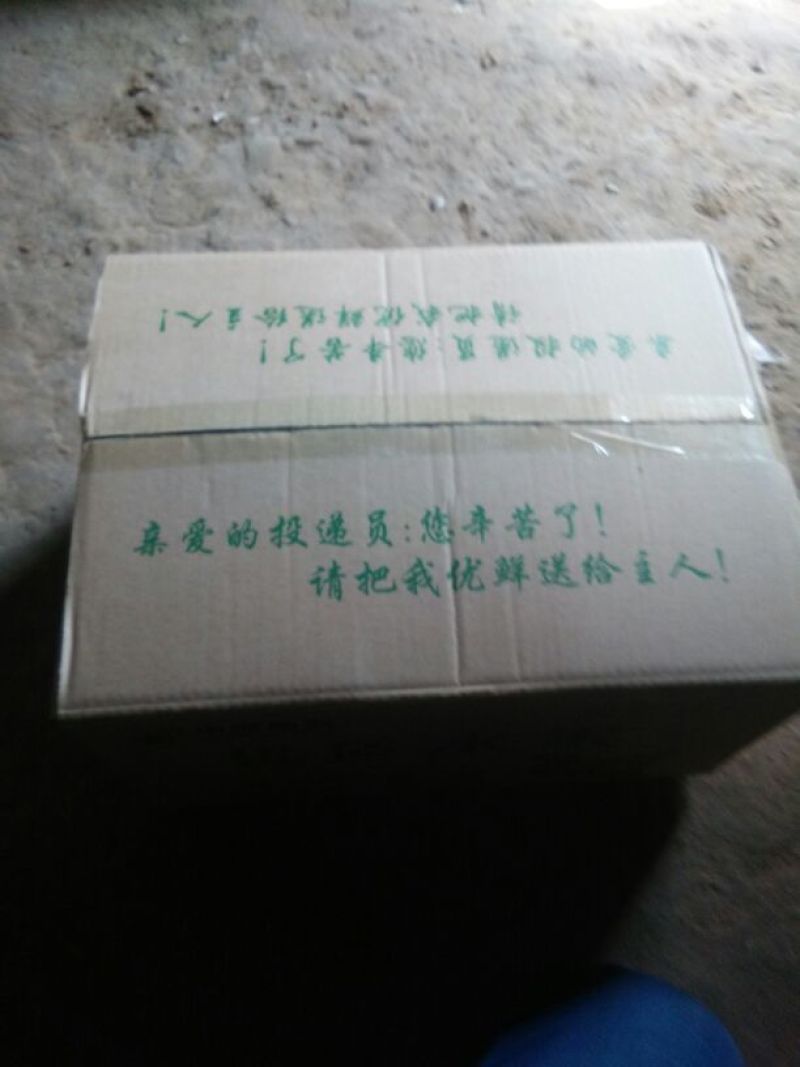 贡梨450~500g纸袋