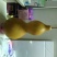 长嘴亚腰葫芦35~45cm