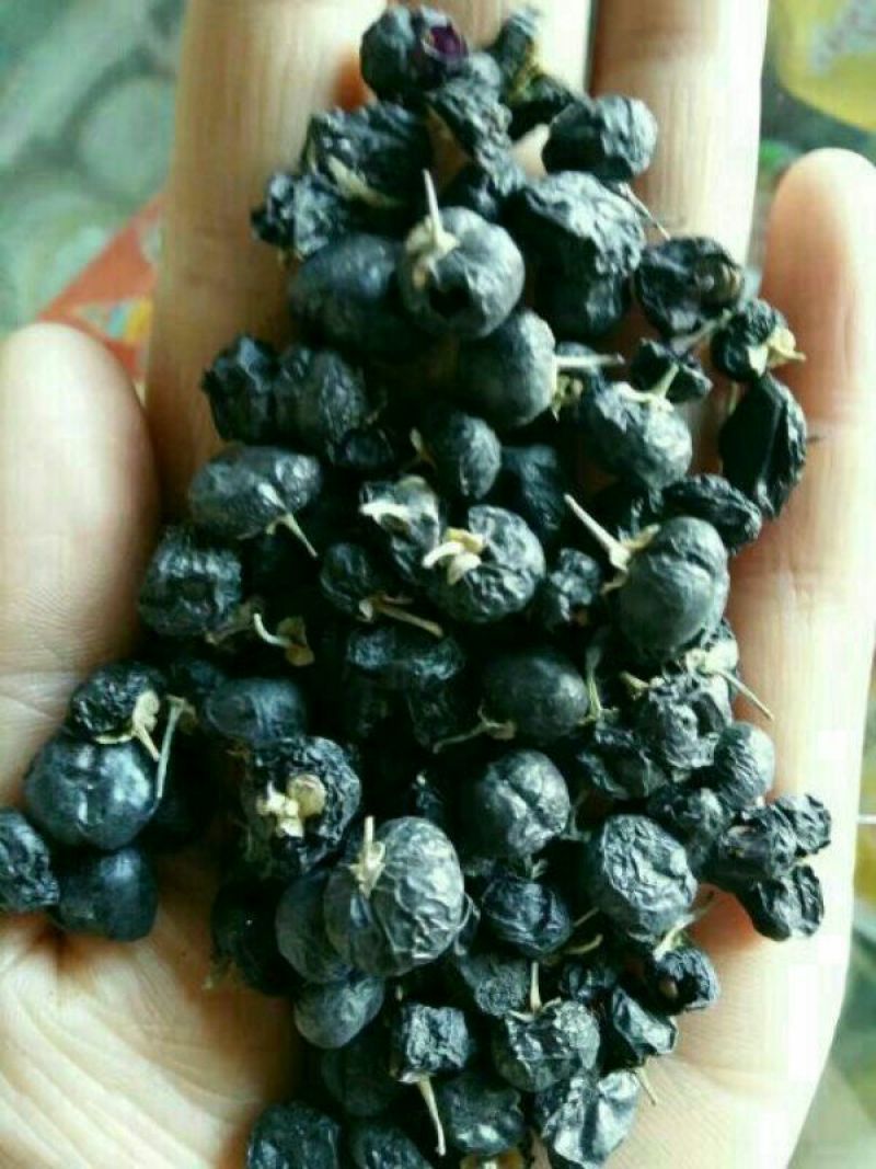 黑枸杞头茬干货