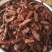 牛肉干黄牛肉鲜肉