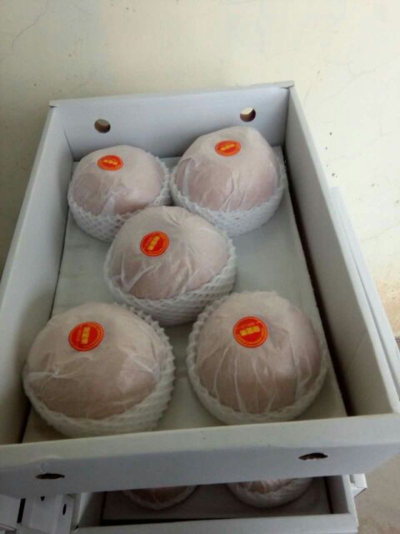 韩国新高梨600g以上纸箱