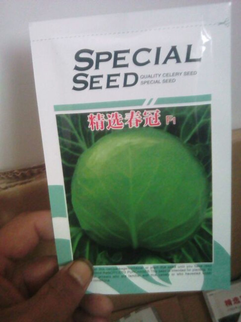甘蓝种子质量很好，质量保证，常年供应，欢迎采购