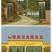绿壳蛋鸡苗