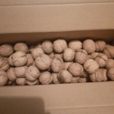 薄皮核桃30mm以上去皮干
