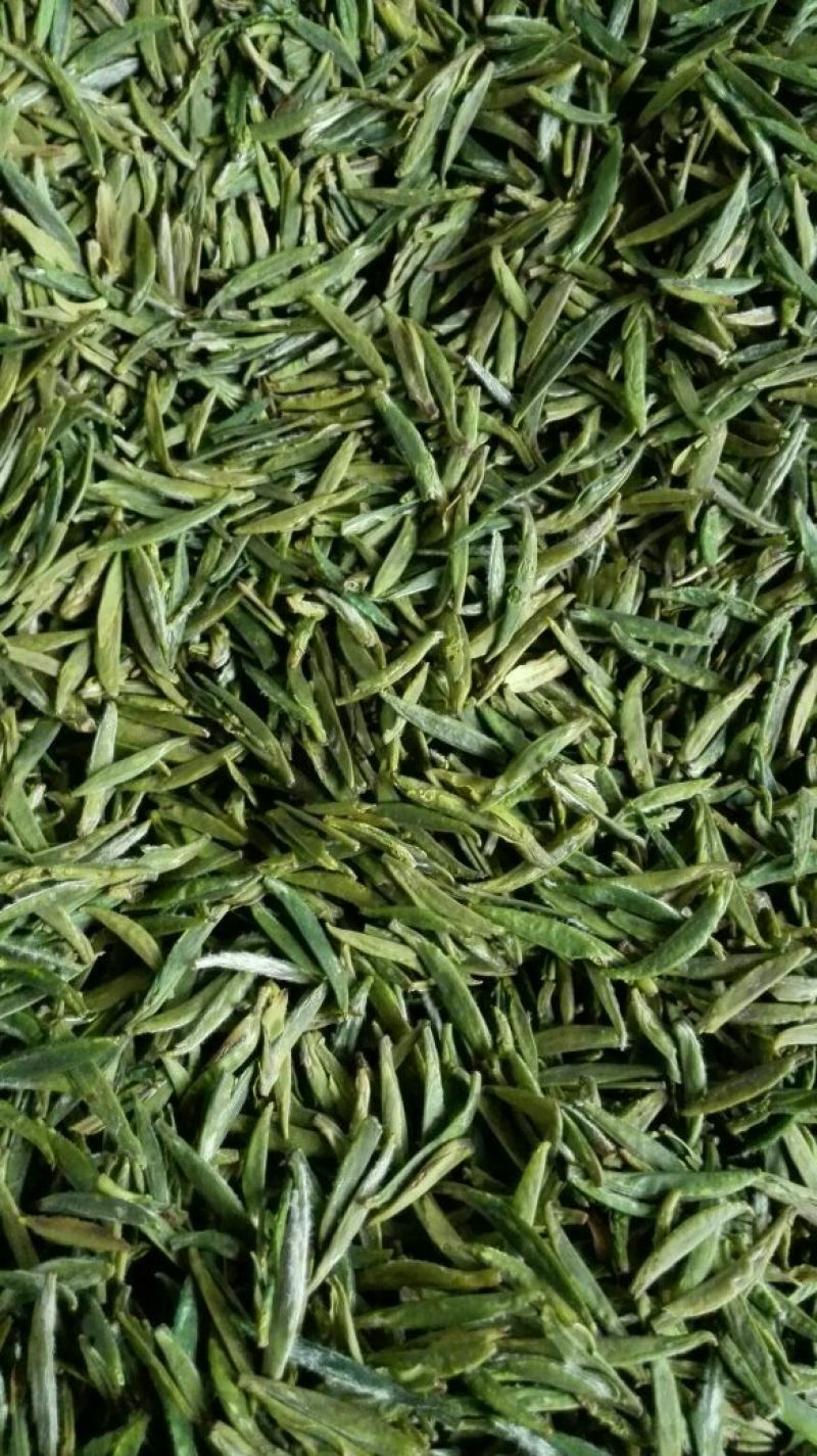 石阡苔茶一级