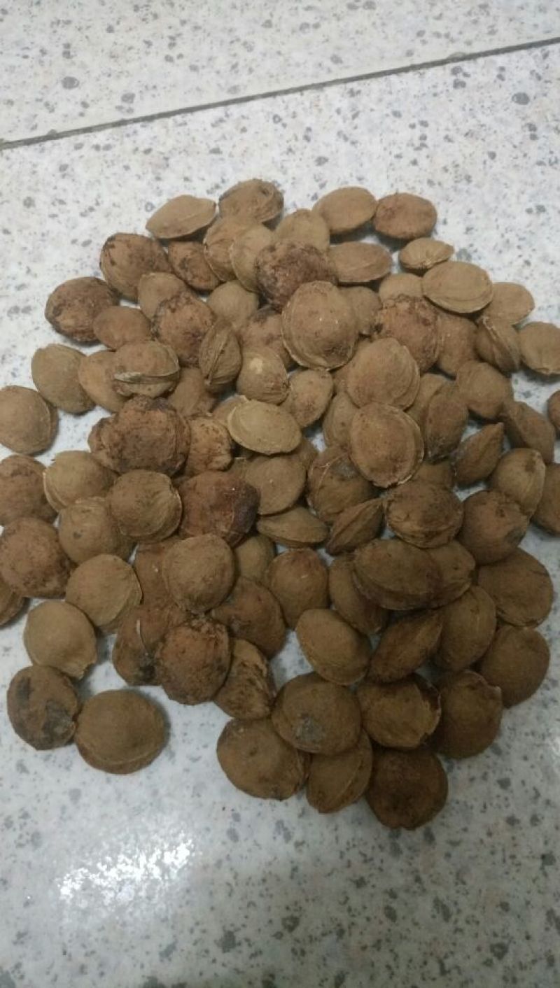 大扁一级