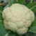 有机无公害散花白花菜绿菜花西蓝花散装产地直发量大价优