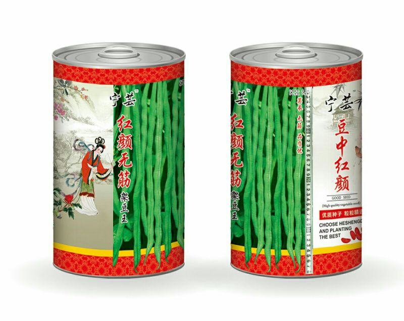 四季豆种子泰国架豆王种子无筋豆豆王种子