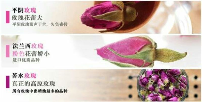 苦水玫瑰