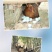 绿壳鸡蛋食用50g以下