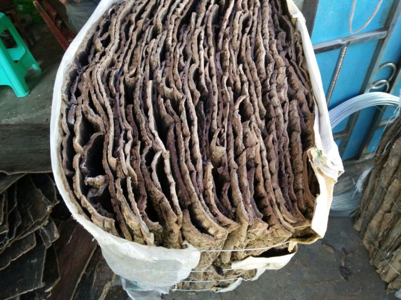 杜仲皮干选货