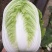 白菜黄心大白菜一级子弹头