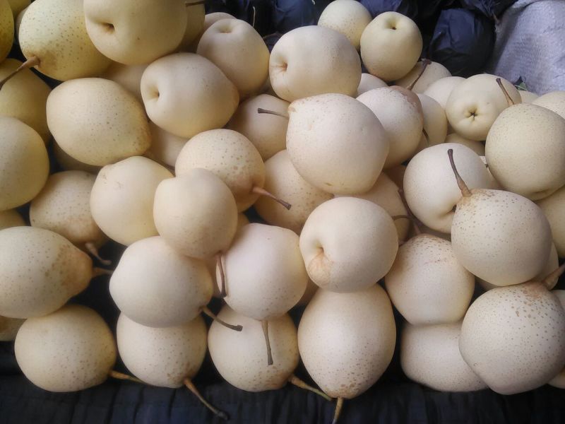 鸭梨纸箱250~300g