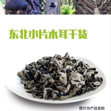 黑山秋耳