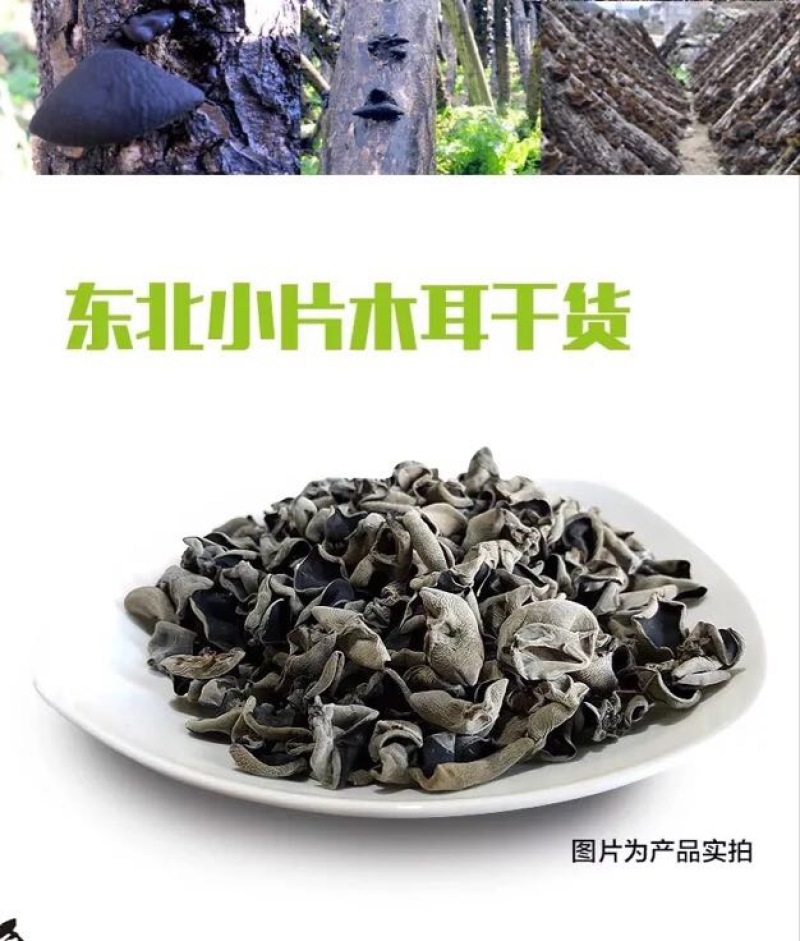 黑山秋耳