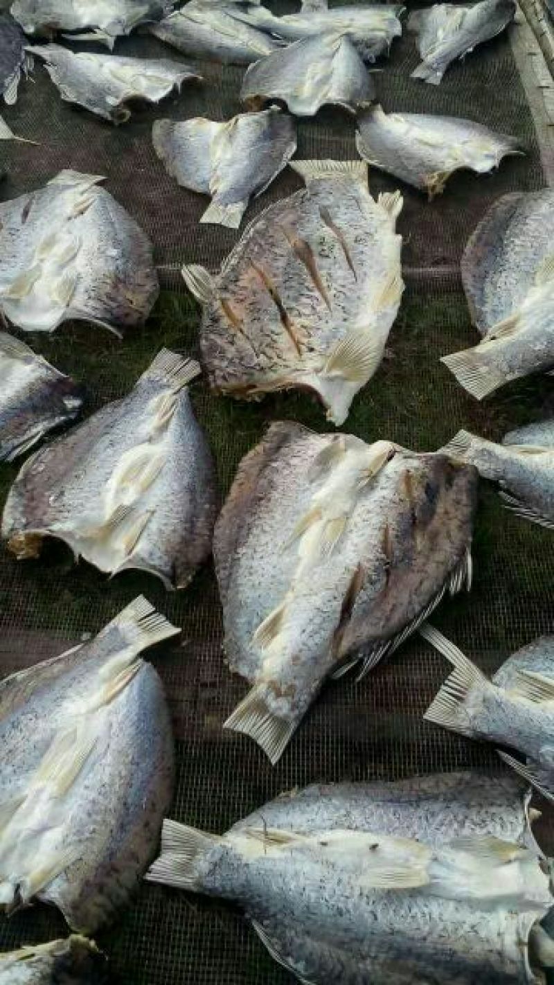 咸鱼