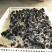 鸡苗1斤以下