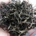 百年大树茶特级