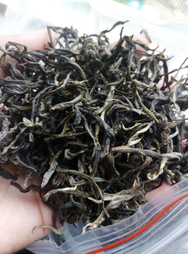百年大树茶特级