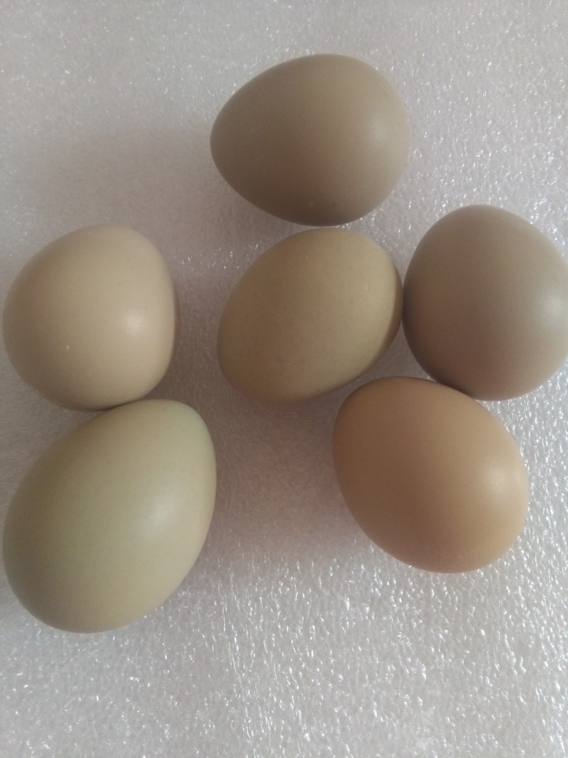 野鸡蛋食用50g以下