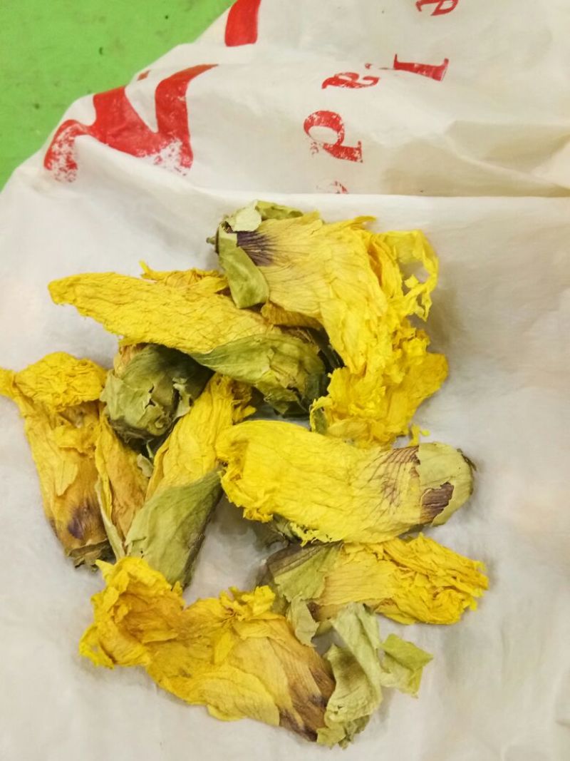 黄蜀葵