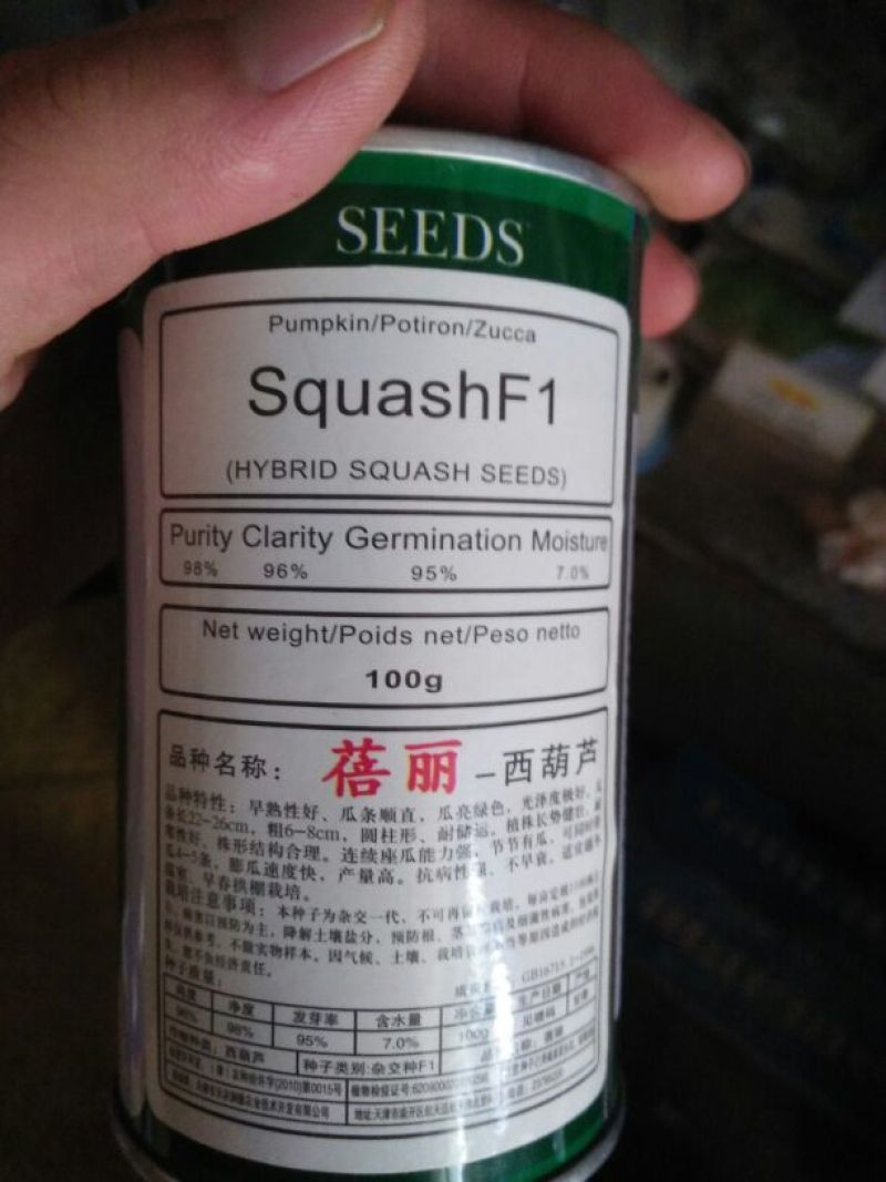 西葫芦种子