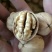 薄皮核桃30mm以上去皮干